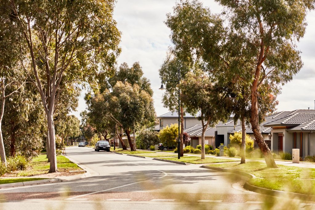 Botanic Ridge leafy streetscape